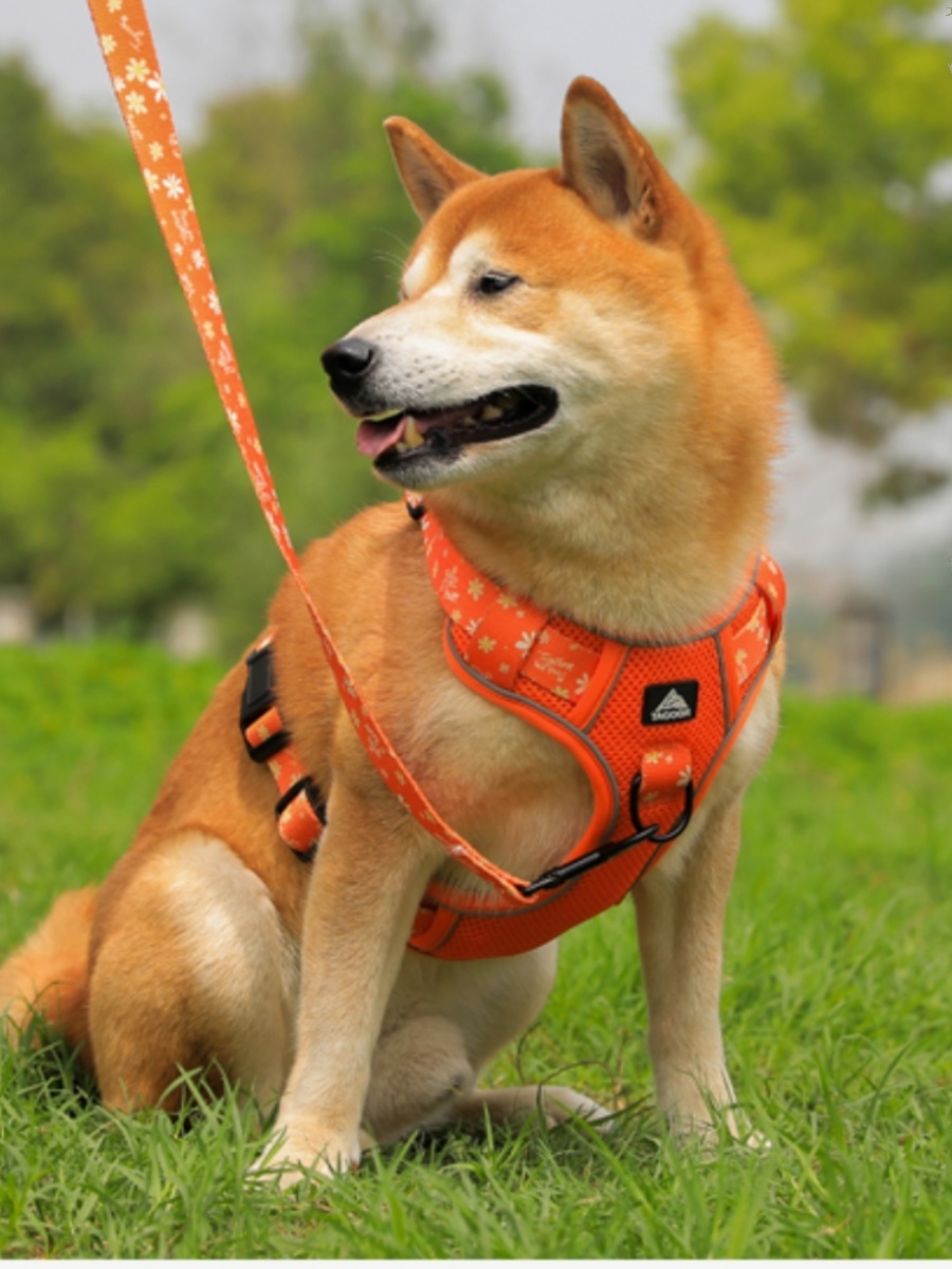 犬 ハーネス 涼風フラワーメッシュハーネス