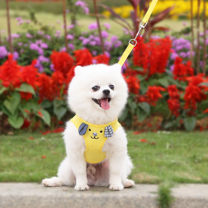 https://fulmo-img-server.com/wonderfulharness/8fb06a98-e306-471c-b317-6a56346ef3e4.jpg