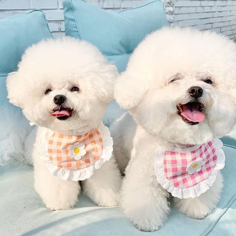 犬 ハーネス ギンガムフリル お花付きバンダナ