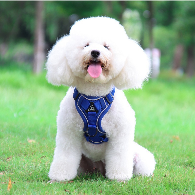 犬 ハーネス やさしい癒しのペットハーネス