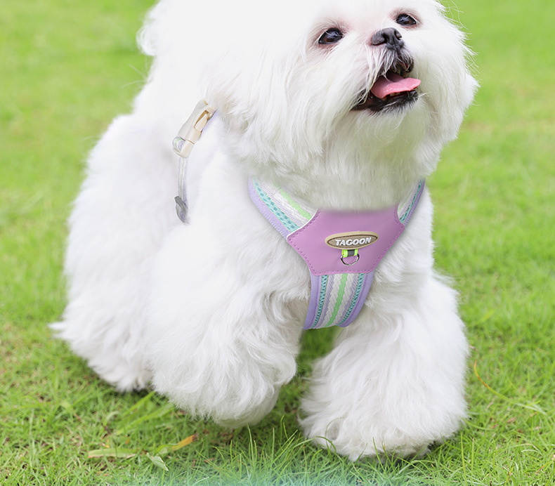犬 ハーネス 優美な波模様 やさしいフィットハーネス