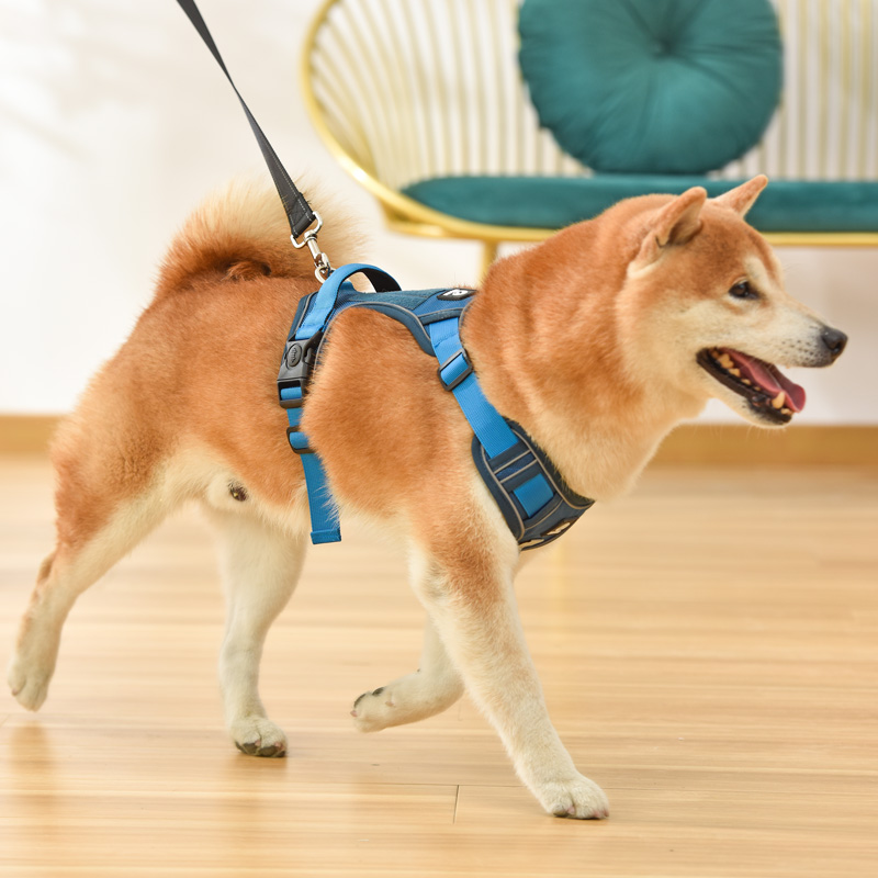 犬 ハーネス やさしさ包む 軽やか散歩ハーネス