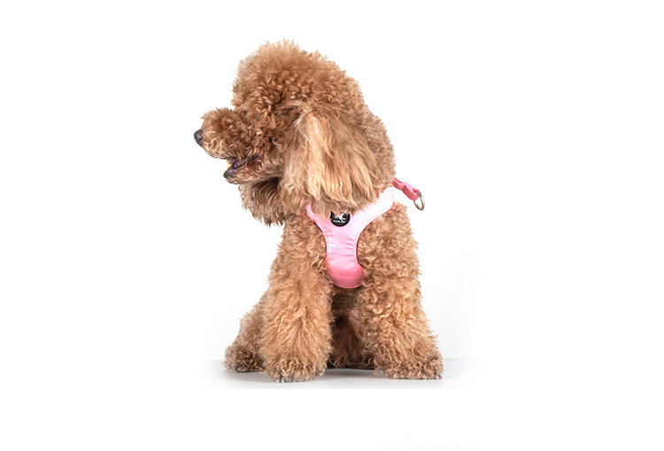 https://fulmo-img-server.com/wonderfulharness/9153e235-02ac-4dcc-bd31-748addcd4c57.jpg