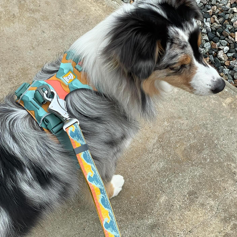 犬 ハーネス 優雅な散歩道ハーネスセット