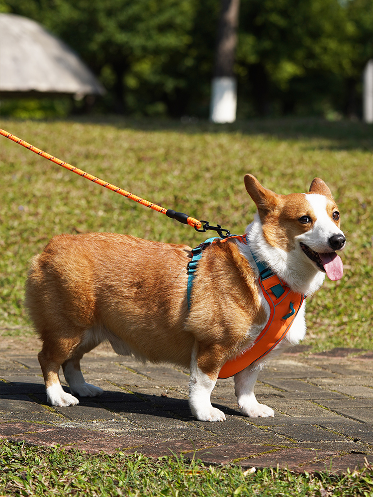 犬 ハーネス やさしフィット ペット用胴輪