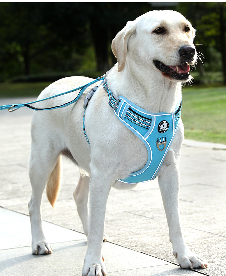 犬 ハーネス ソフトフィット安心ハーネス