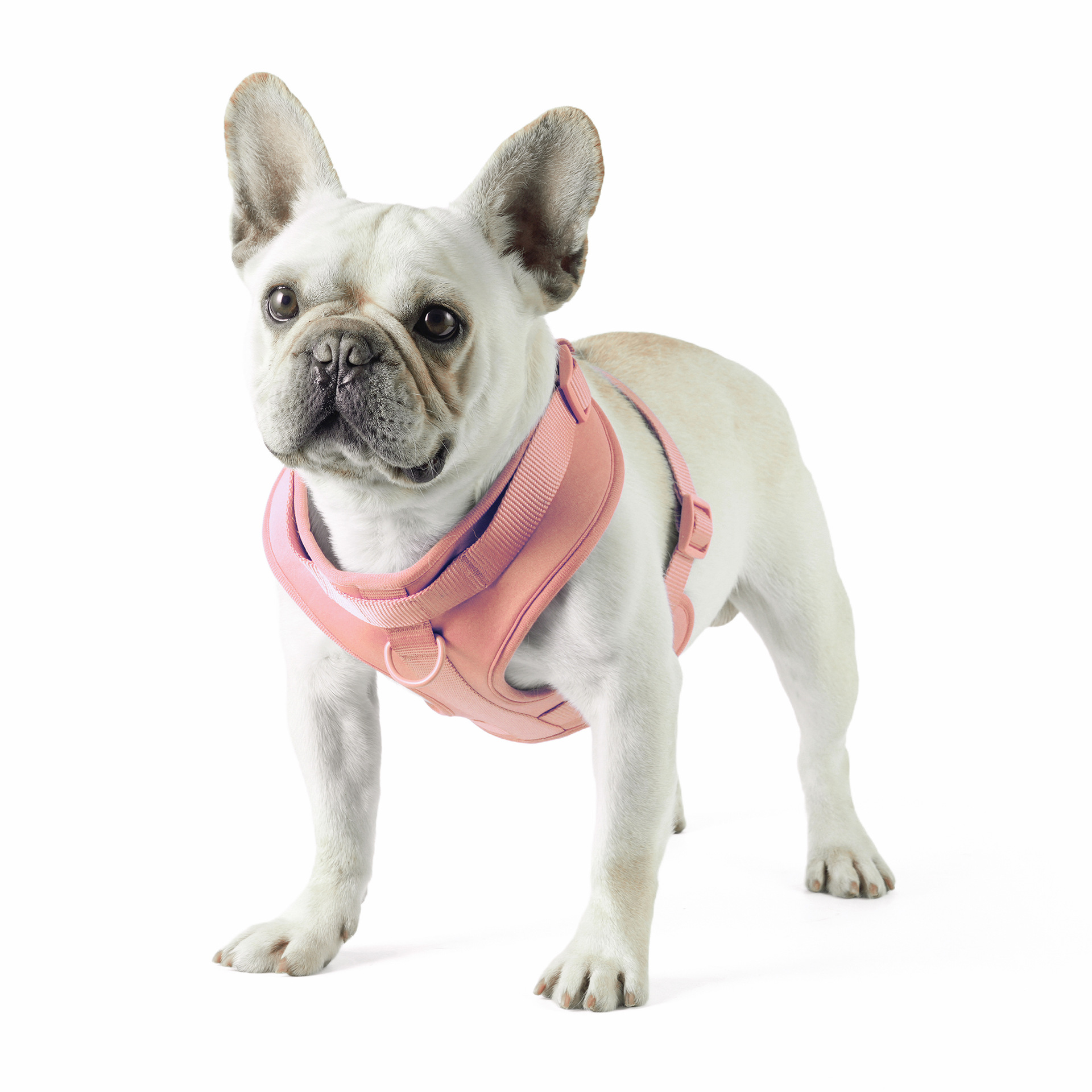 犬 ハーネス やさしさ包む ふわふわハーネスセット