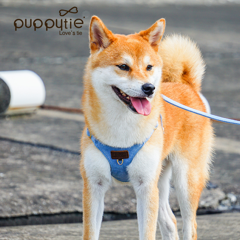 犬 ハーネス シンプル優美 パピーハーネス