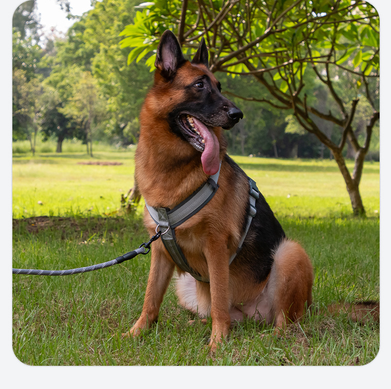 犬 ハーネス やさしく包み込む 軽量ハーネス
