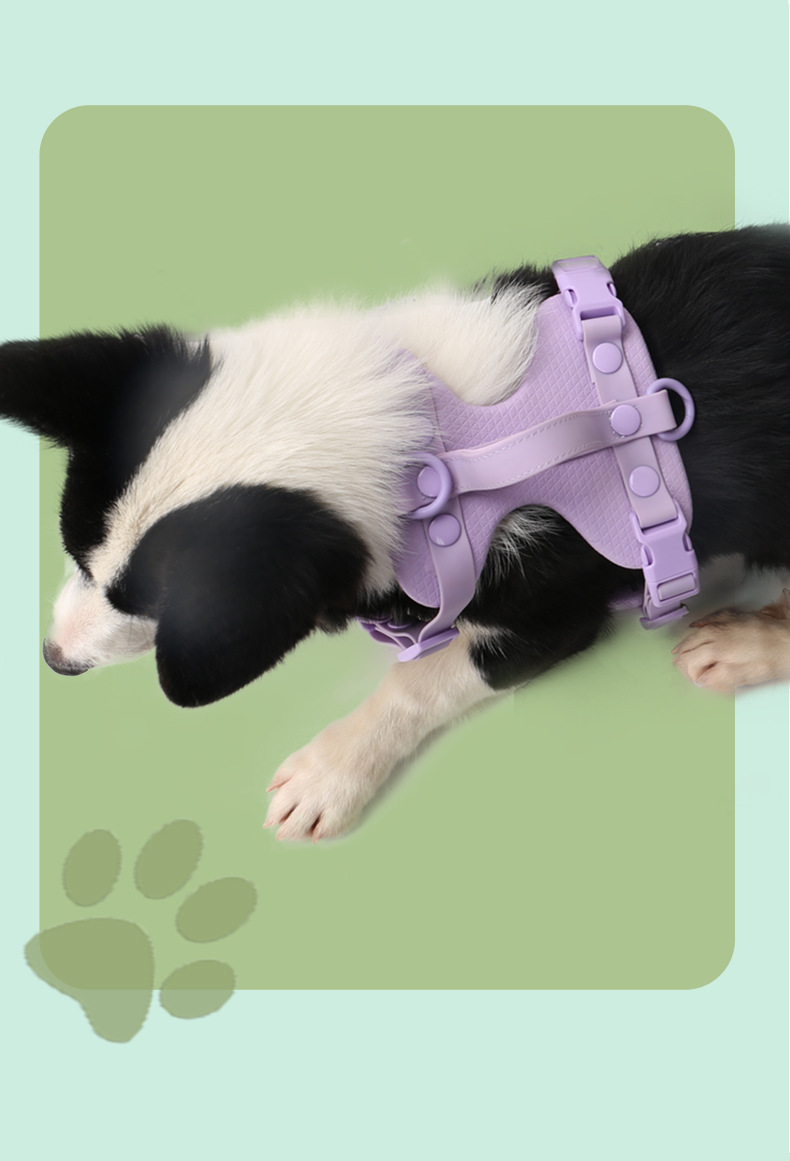 犬 ハーネス やわらか革調ハーネス