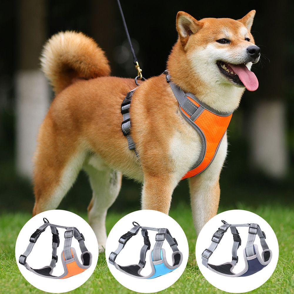 犬 ハーネス らくらく快適ベーシックハーネス