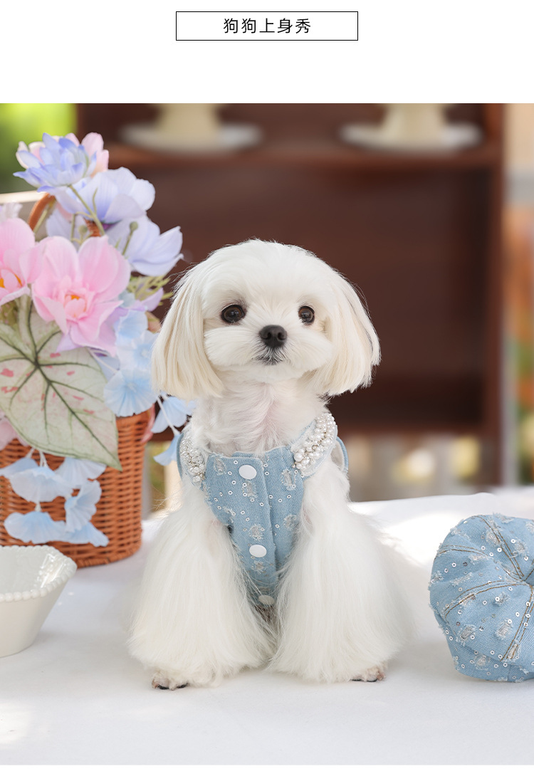 https://fulmo-img-server.com/wonderfulharness/93c4cad8-661c-4aad-ac58-2e76e29e0a40.jpg