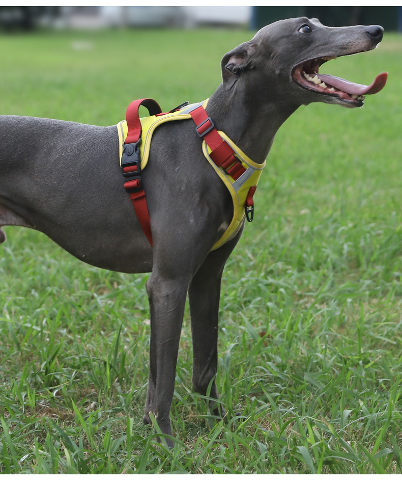 犬 ハーネス 柔らか通気メッシュ快適ハーネス