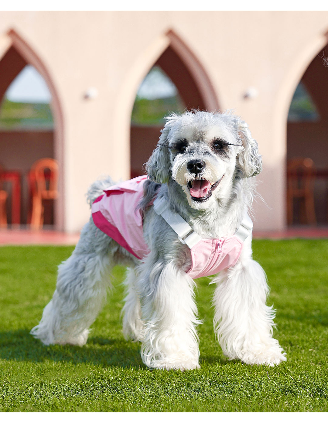 犬 ハーネス プレミアムやすらぎ ドッグハーネス
