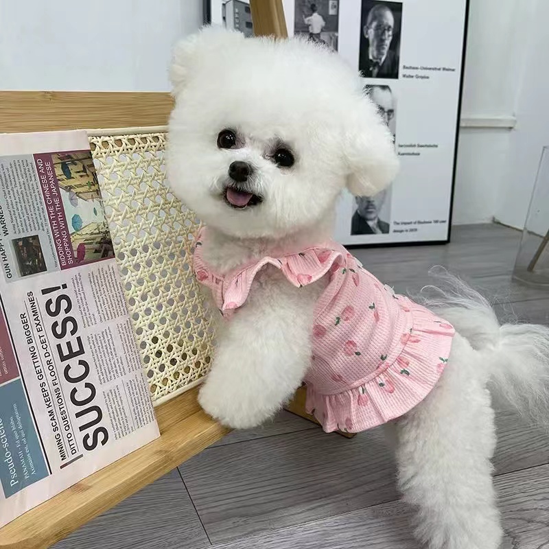 犬 ハーネス ふんわり花柄フリルハーネス