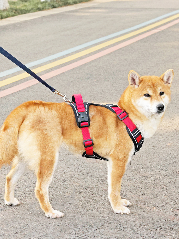 犬 ハーネス やさしい装着感 簡単ハーネス