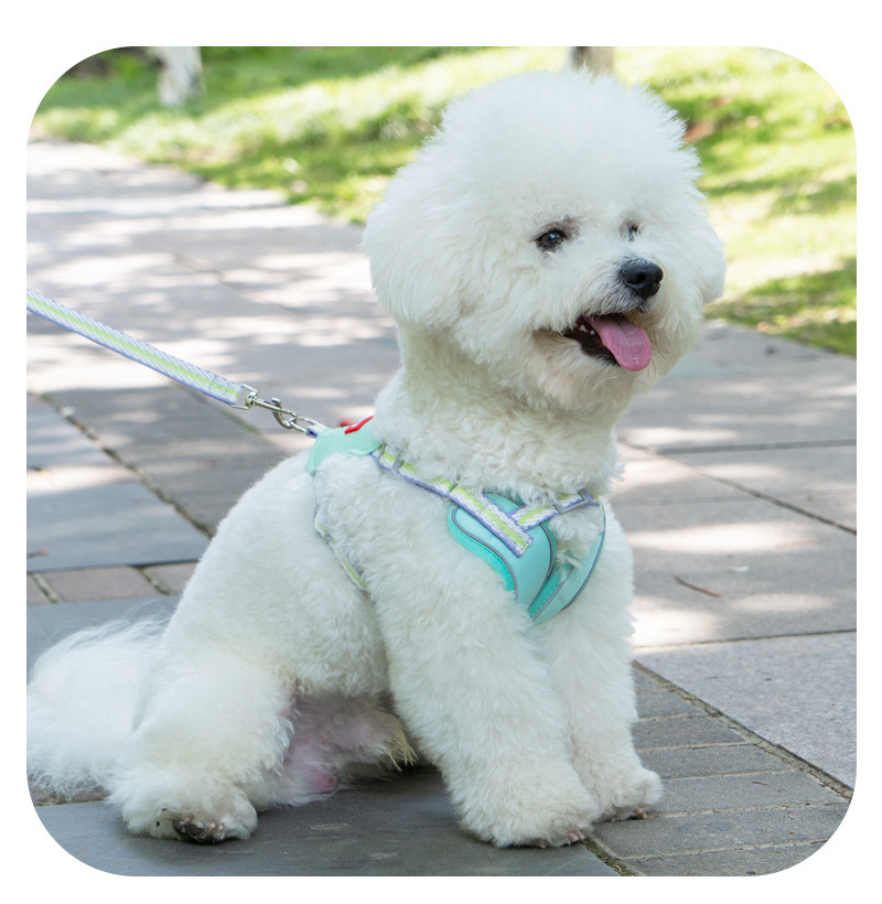 犬 ハーネス やすらぎ美人ハーネス