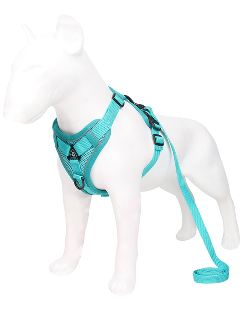 https://fulmo-img-server.com/wonderfulharness/95ac8feb-b3e1-4529-91d6-e84604eac4d5.jpg