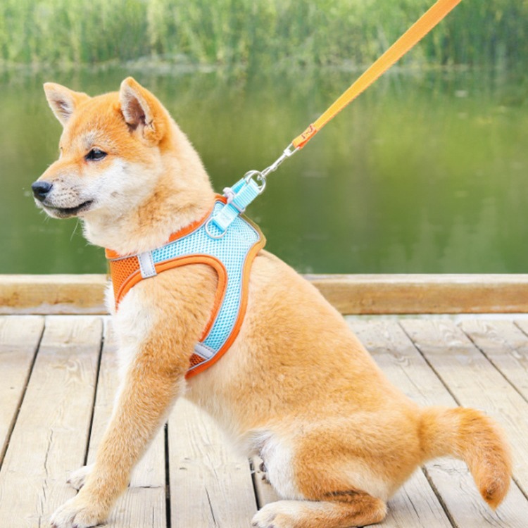 犬 ハーネス メッシュ通気性ハーネス 快適スタイル