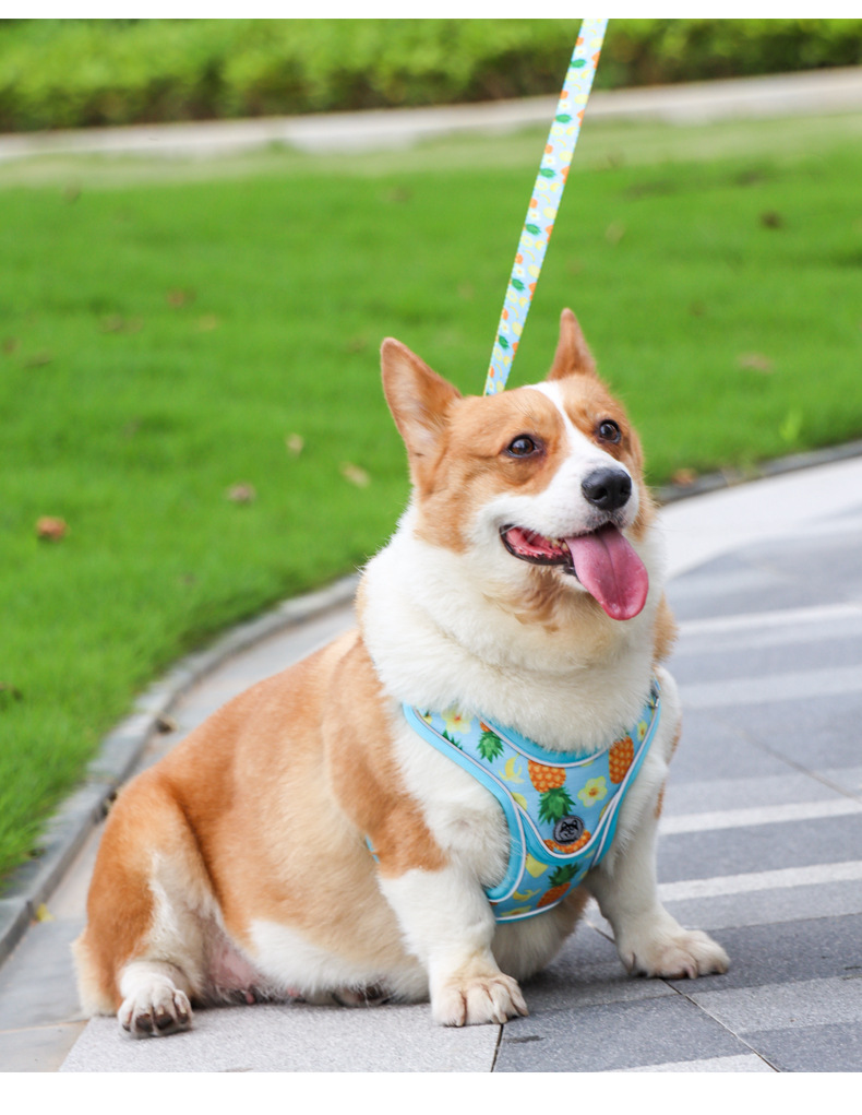 犬 ハーネス 快適お散歩ハーネス 爽やか軽量タイプ