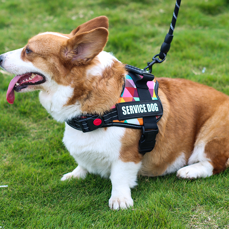 犬 ハーネス プロフェッショナル補助犬用ハーネス