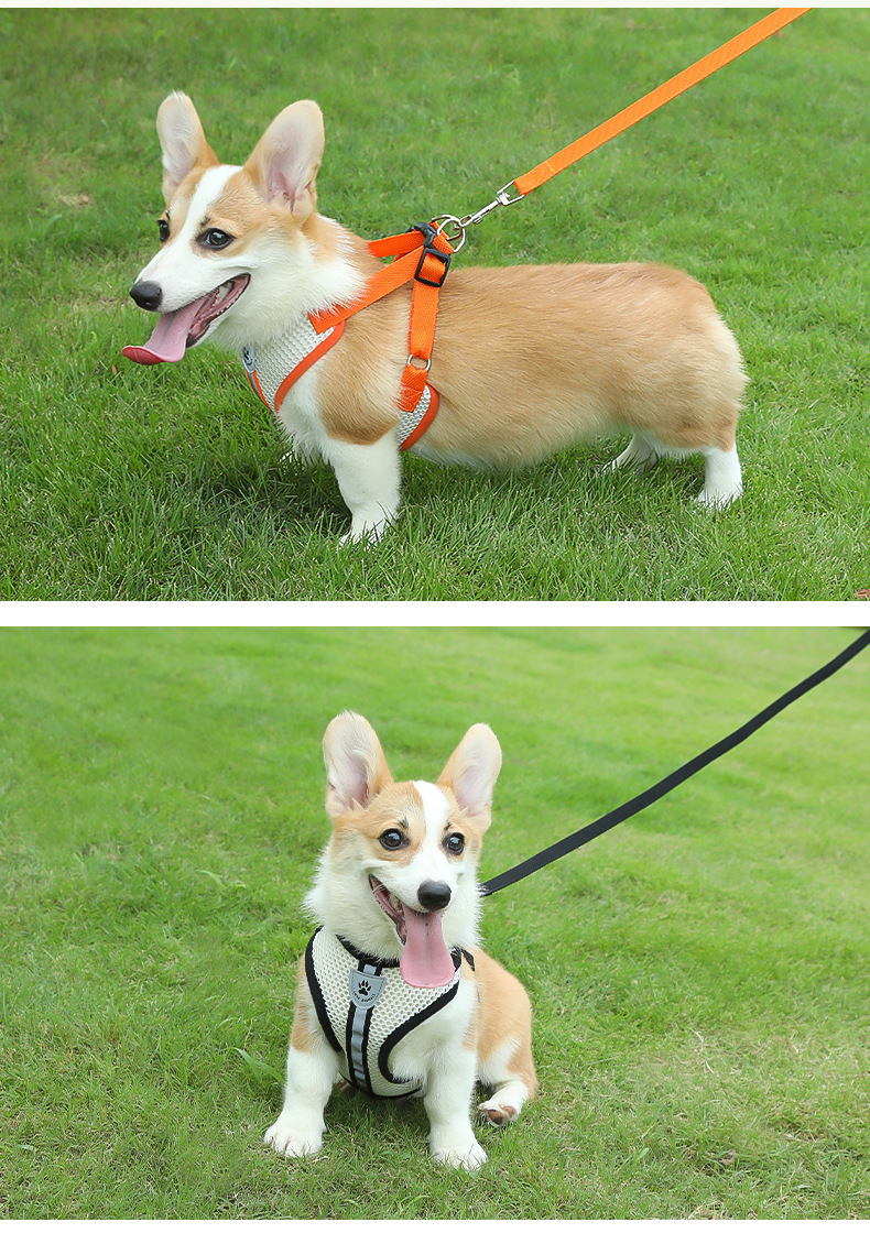 犬 ハーネス メッシュ快適ハーネス