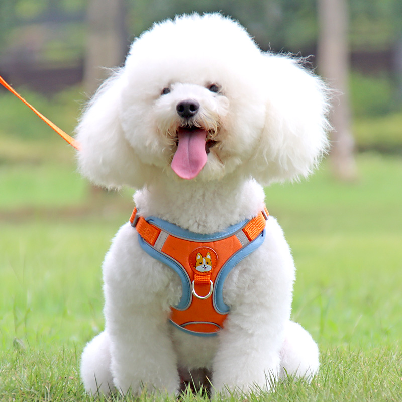 https://fulmo-img-server.com/wonderfulharness/9669a9f6-76ef-4018-a502-ad1377f8f51d.jpg