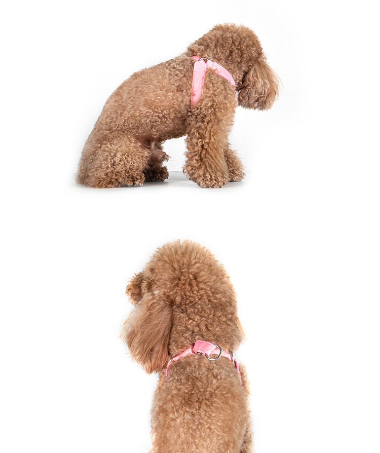 https://fulmo-img-server.com/wonderfulharness/96d917a0-16d5-47f2-86dc-c65c629e0091.jpg
