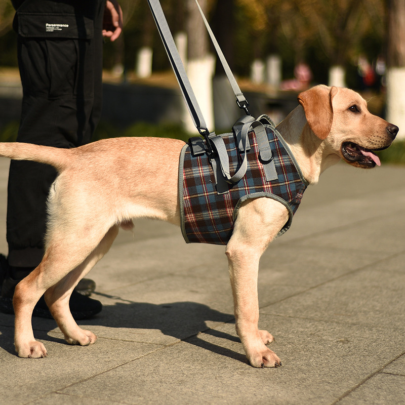 犬 ハーネス おでかけ安心ハーネス