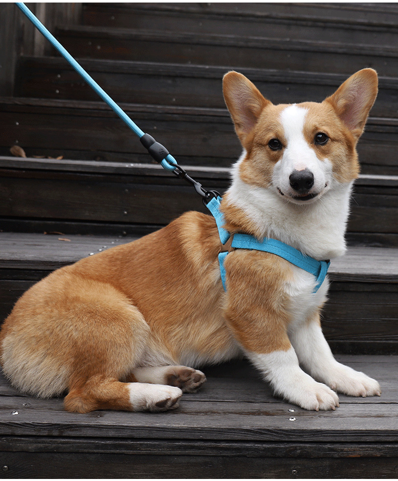 犬 ハーネス かろやかな歩みハーネス
