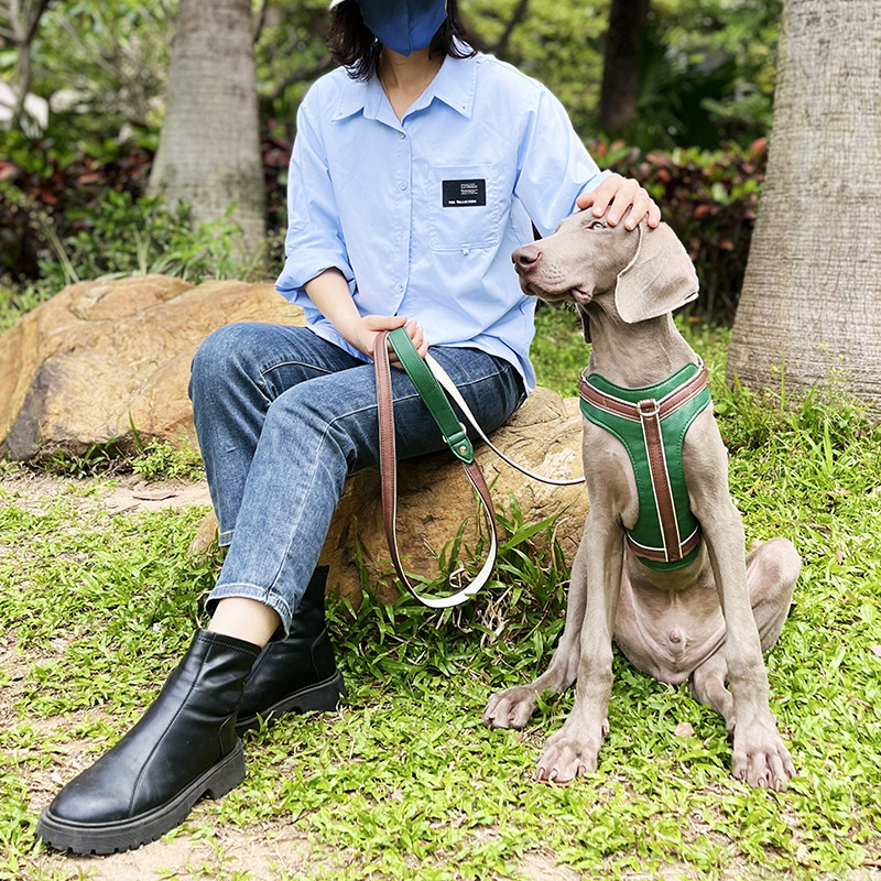 犬 ハーネス やさしく包み込む リラックスハーネス