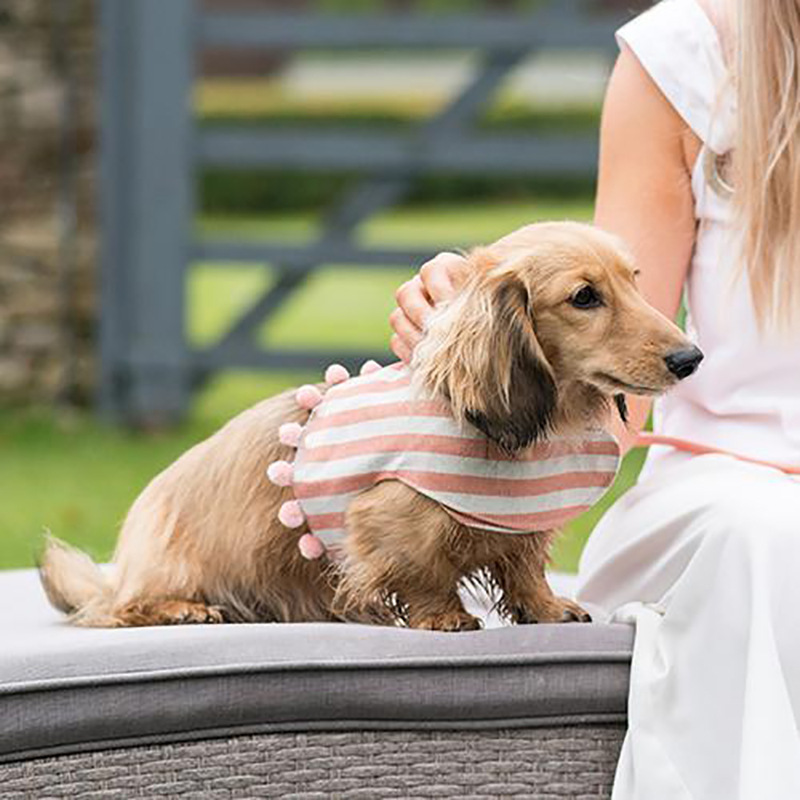犬 ハーネス やさしさ包むボーダーハーネス