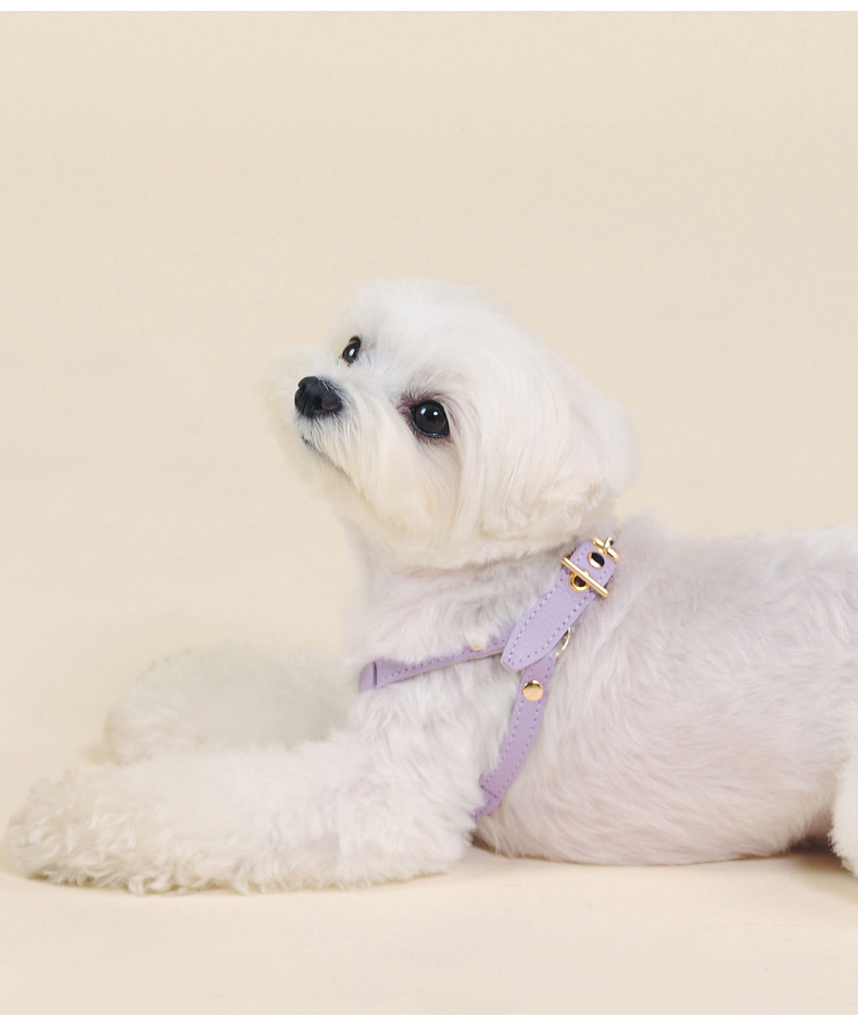 犬 ハーネス やわらか革調ハーネス
