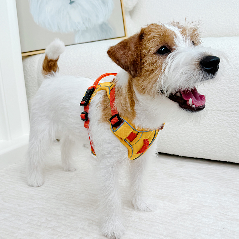 犬 ハーネス シンプル愛犬用ハーネス