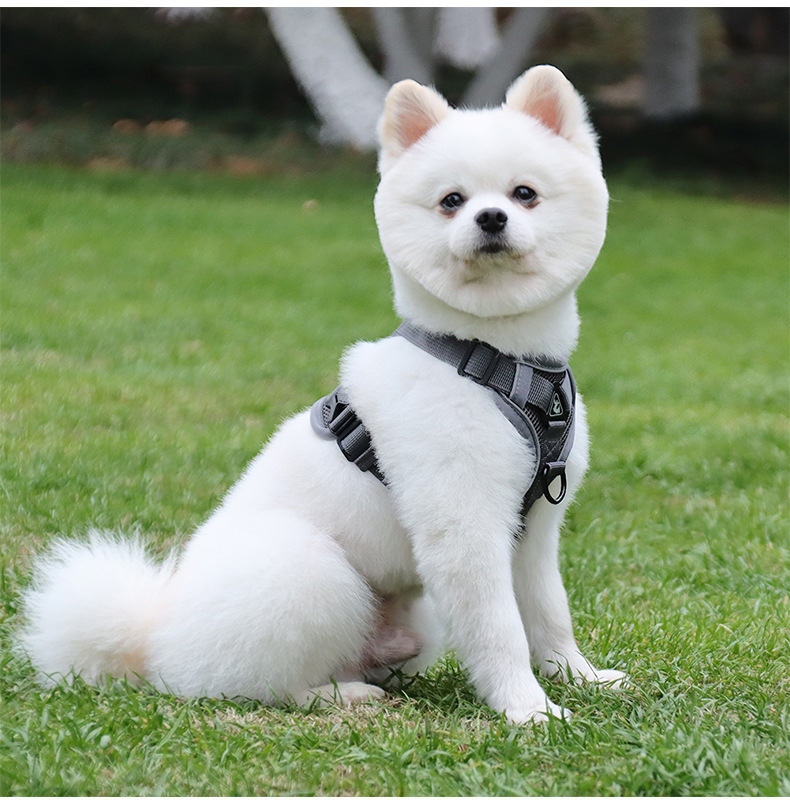 犬 ハーネス やさしフィット 軽量ハーネス