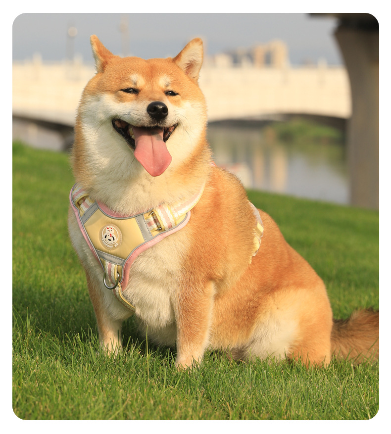 犬 ハーネス やわらか素材の四季彩ハーネス