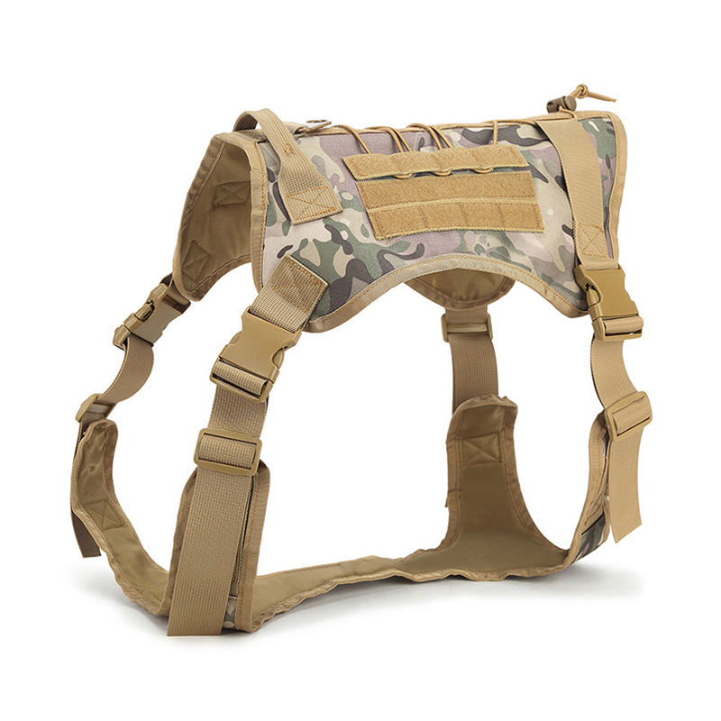 https://fulmo-img-server.com/wonderfulharness/995acd1e-afd9-42bf-bb21-0f7483ecfd32.jpg