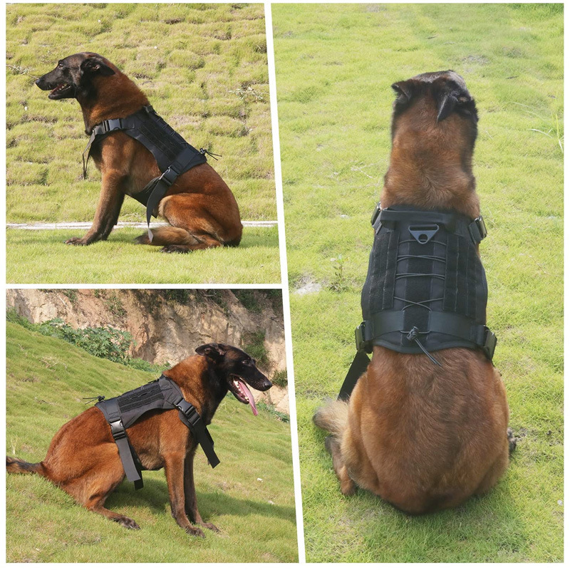 犬 ハーネス トレーニング用軽量ベーシックハーネス