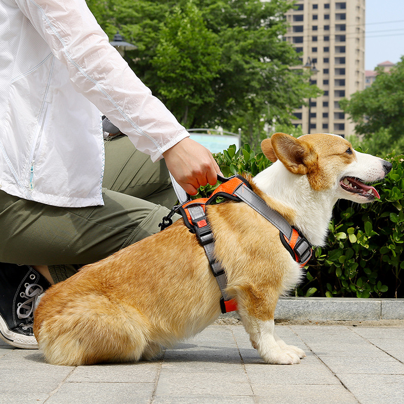 犬 ハーネス やさしさ包む 軽量メッシュハーネス