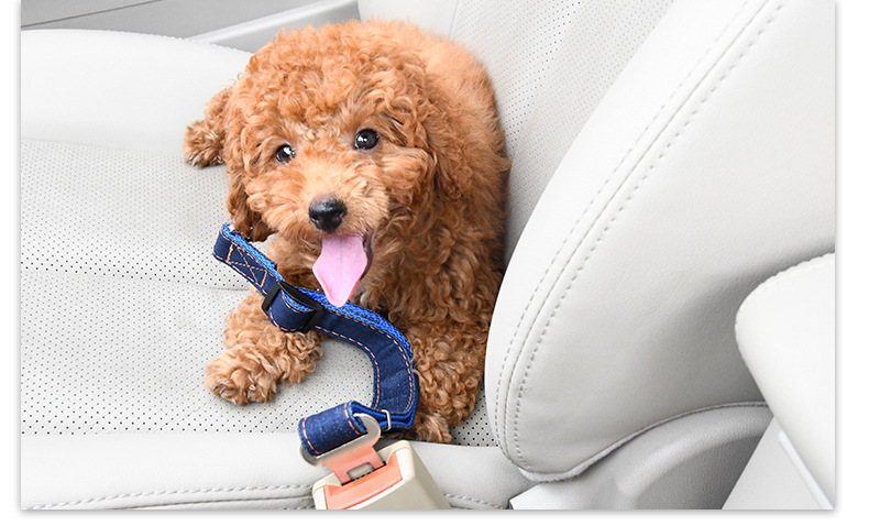 犬 ハーネス ペット用シートベルト安全ストラップ