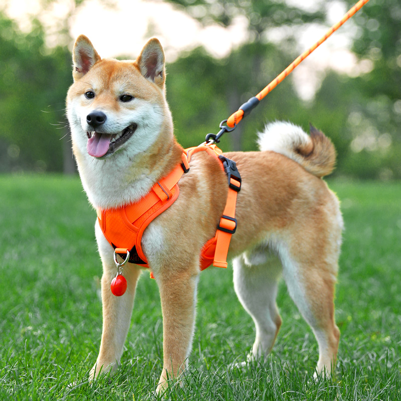 犬 ハーネス なめらか安心フィットハーネス