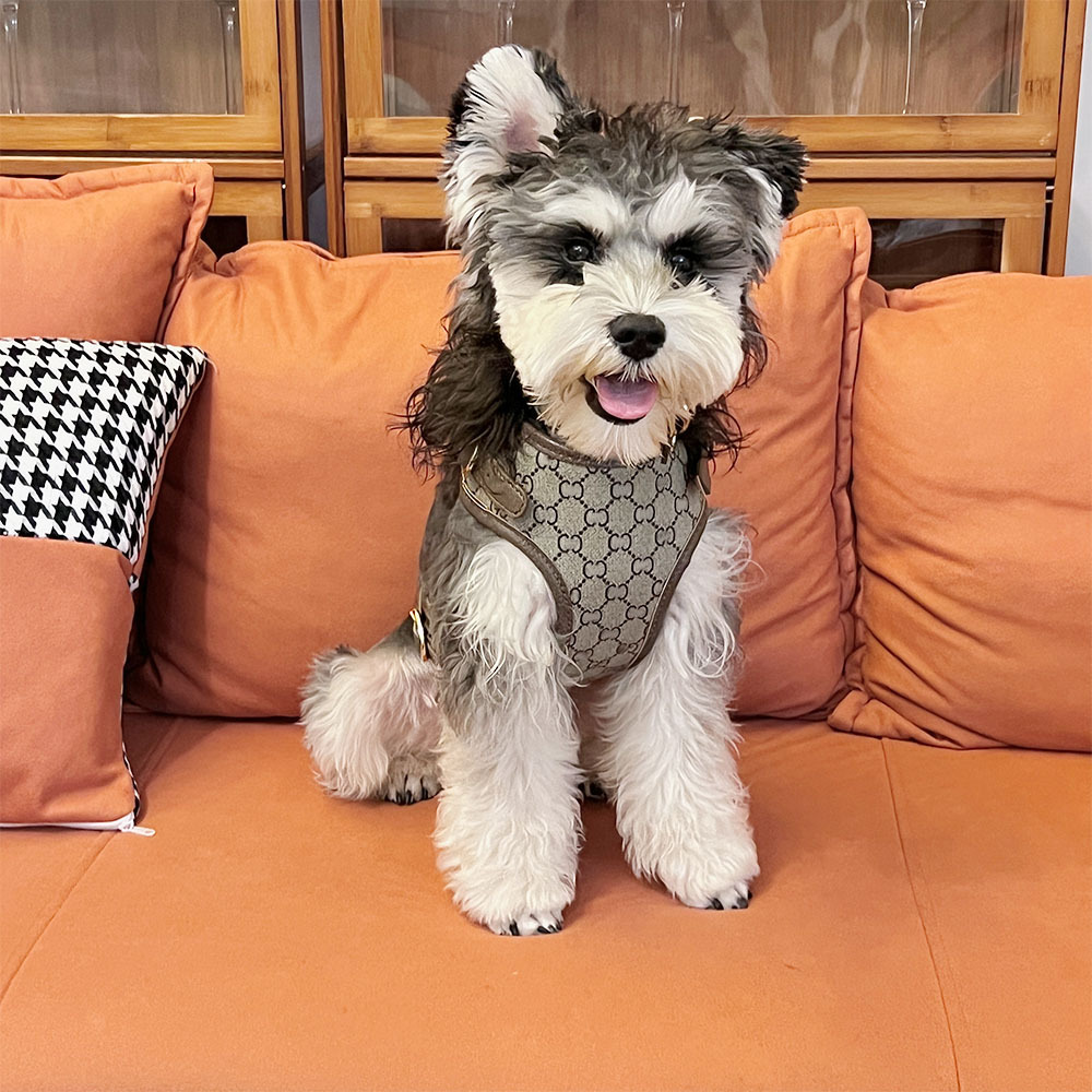 犬 ハーネス 洗練モダン ラグジュアリーハーネス
