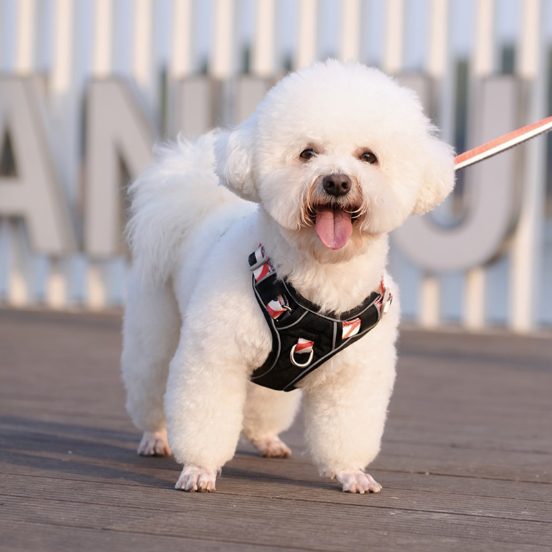 犬 ハーネス やさしさ包む ふわり軽量ハーネス