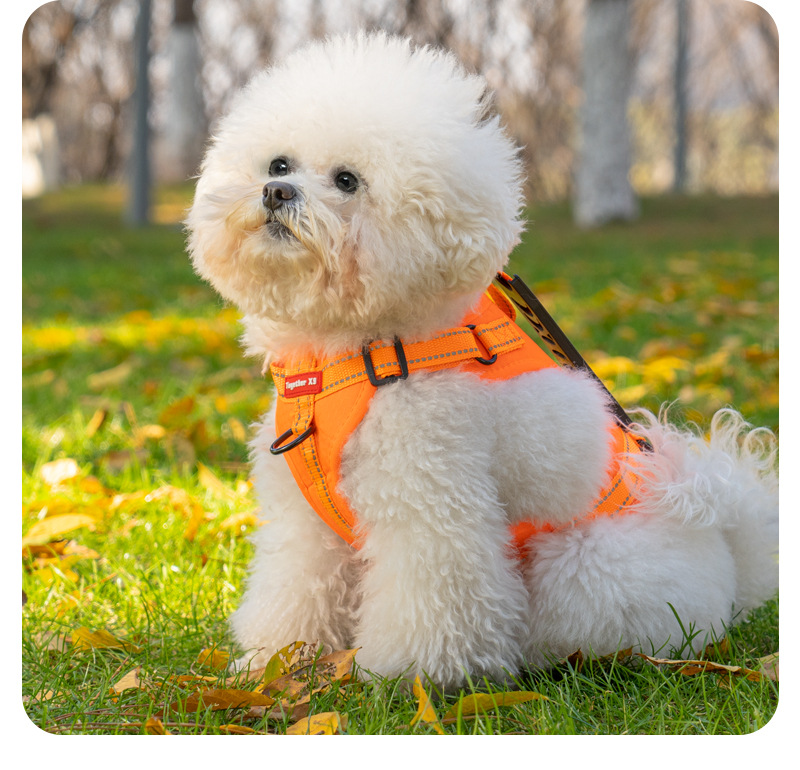 犬 ハーネス やさしい装着感 軽量メッシュハーネス