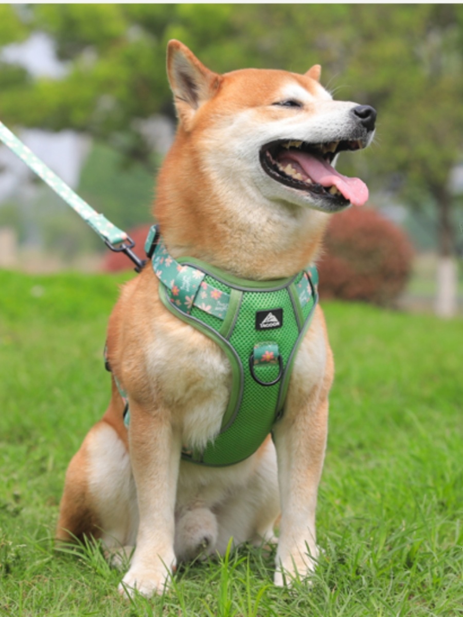 犬 ハーネス 涼風フラワーメッシュハーネス