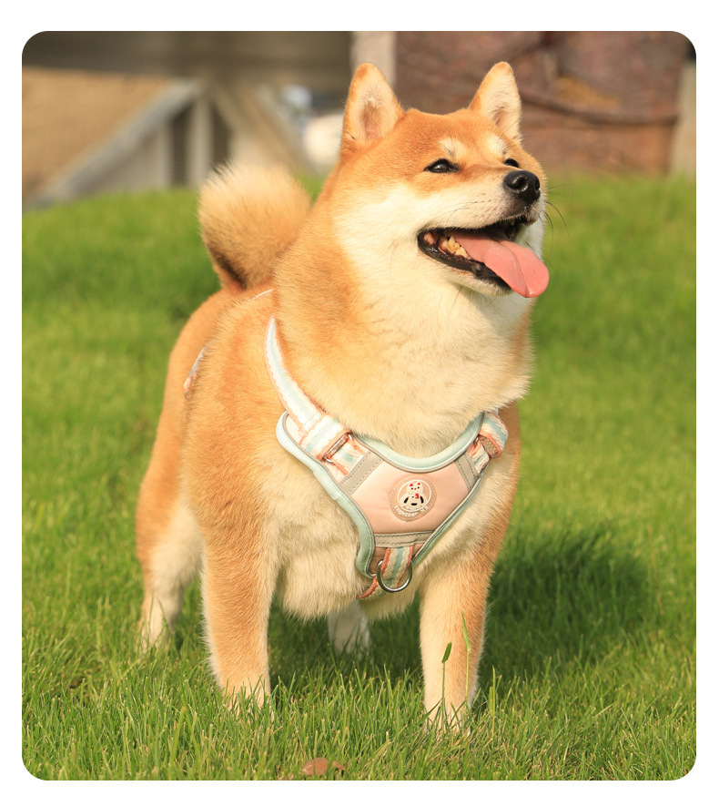 犬 ハーネス 柔らか手触り やすらぎハーネス