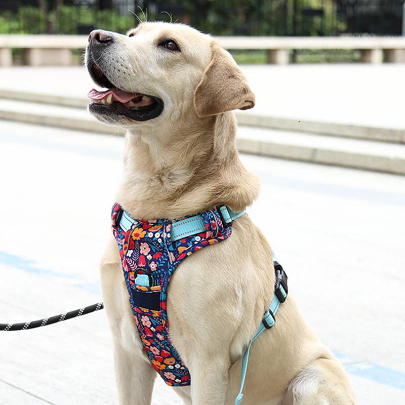 犬 ハーネス やさしい着け心地 メッシュハーネス