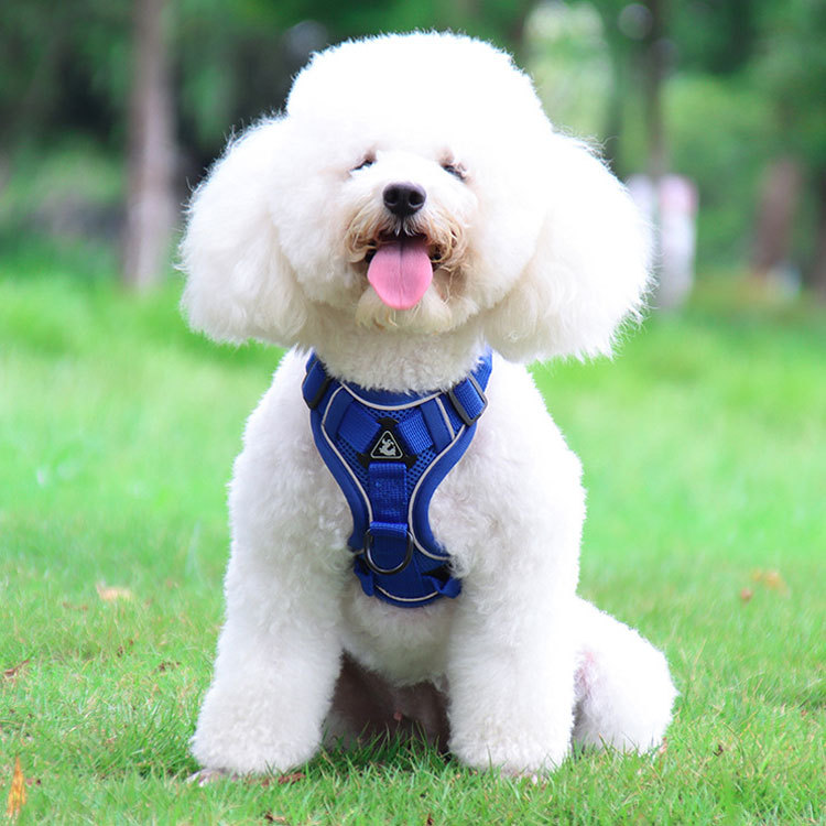 犬 ハーネス ソフトフィット 快適ハーネス