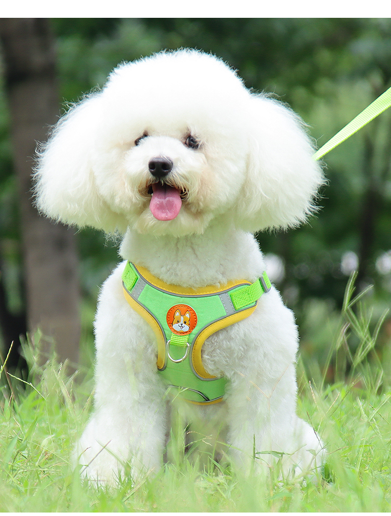 犬 ハーネス やさしい散歩ハーネス＆リードセット