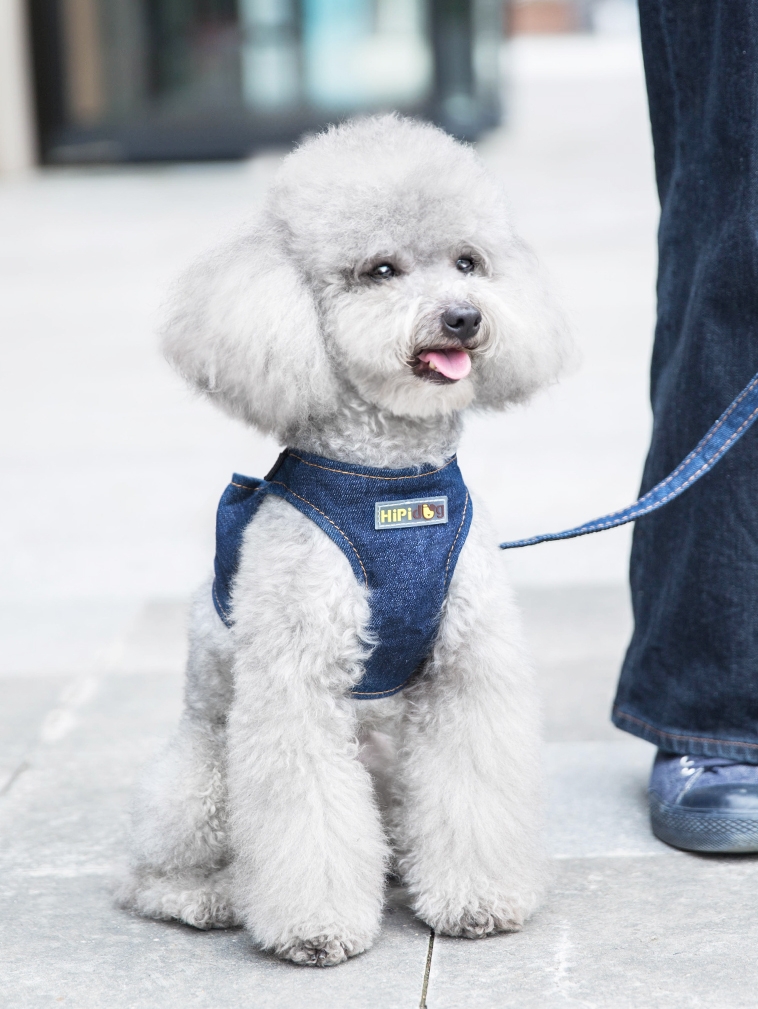 犬 ハーネス しなやかデニムハーネス